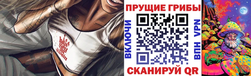 Псилоцибиновые грибы Psilocybine cubensis  Нахабино 